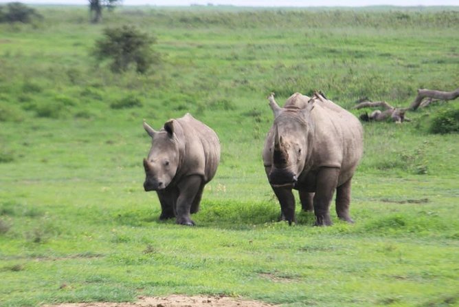 3 Days 2 Nights Masai Mara Mid-Range 4 X 4 Jeep Safari - Pickup and Meeting Point