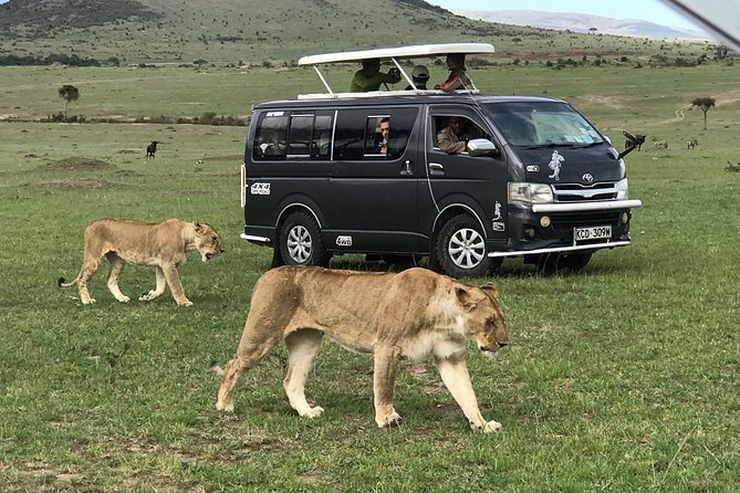 3 Days Adventurous Maasai Mara Budget Group Safari - Accommodation and Group Size