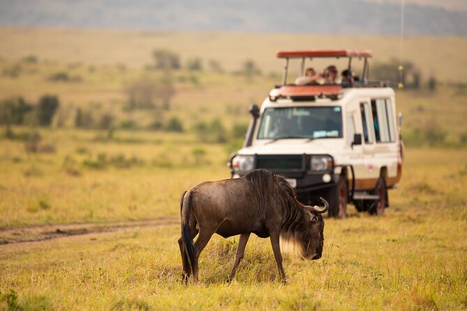 3 Days Fly in Safari - Pickup and Transportation