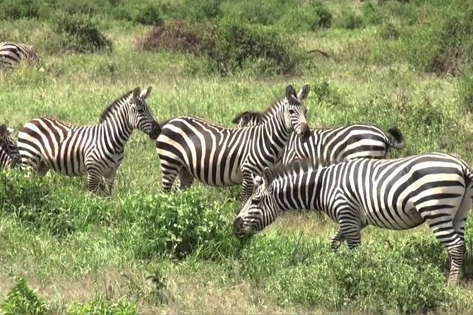 3 Days Group Joining Safari to Maasai Mara With a Land Cruiser Jeep - Land Cruiser Jeep Experience