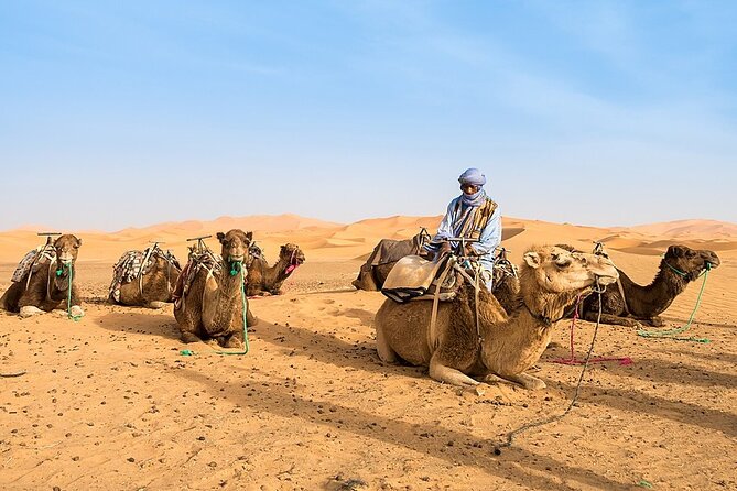 3-Days Morocco Tour : Sahara Desert Tour From Fes to Marrakech - Meals and Refreshments