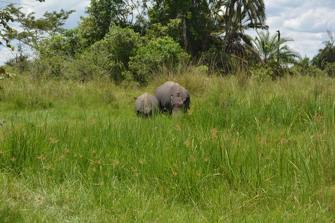 3-Days Murchison Falls Vacation Including Big 5 Sighting! - Accommodation and Meals