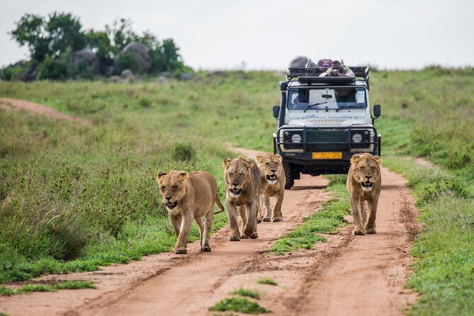 3 Days Ngorongoro & Serengeti Fly in Safari - Inclusions