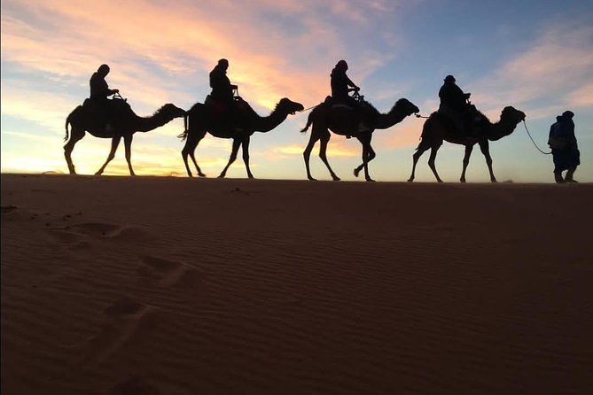 3 Days Shared Sahara Desert Tour From Marrakech - Camel Ride Experience