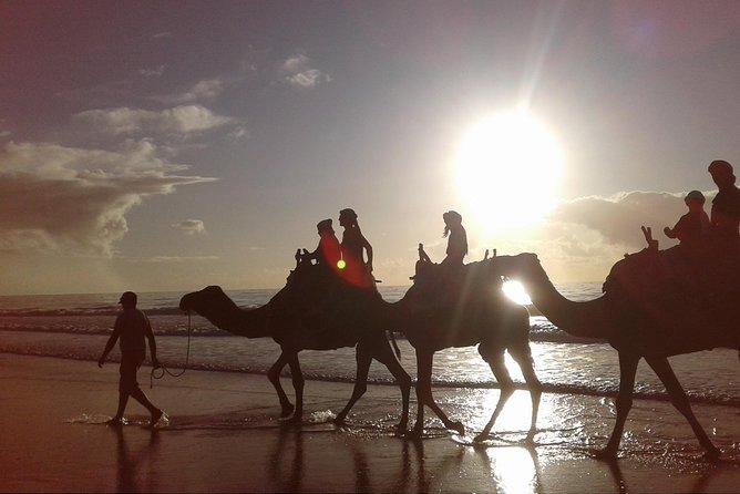 3-Hour Camel Ride at Sunset - Highlights of the Sunset Ride