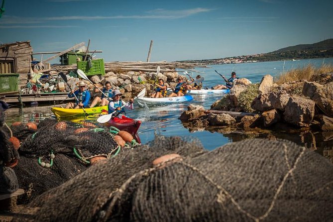 3-Hour Sea Kayak Trip in the Canals of Sete - Suitable for All Skill Levels