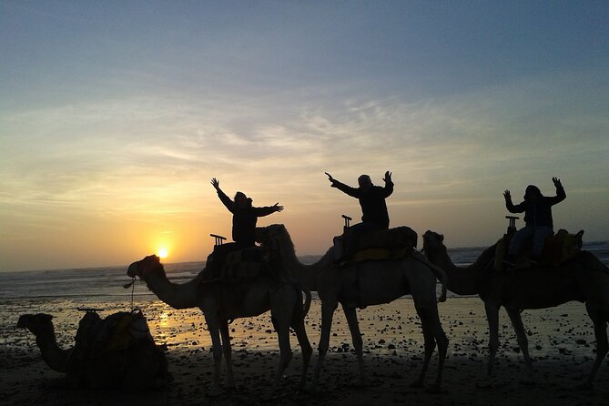 3 Hours Camel Ride in Essaouira, Beach and Dunes - Inclusions