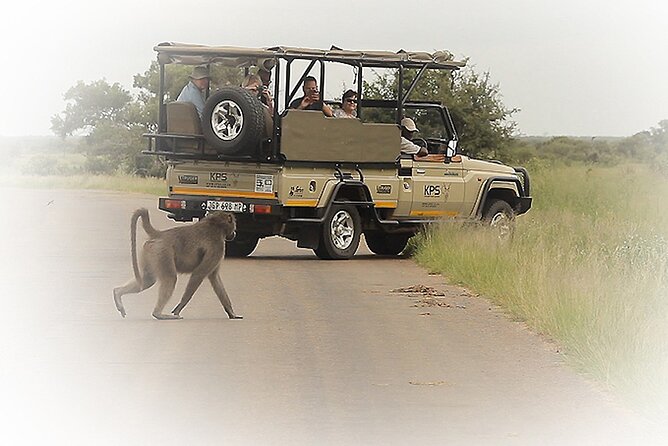 3 Night & 4 Day Private Kruger Park Safari - Experience Highlights