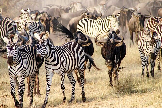 3DAYS Safari to Tarangire Ngorongoro and Manyara Lodge Safari - Visiting Lake Manyara