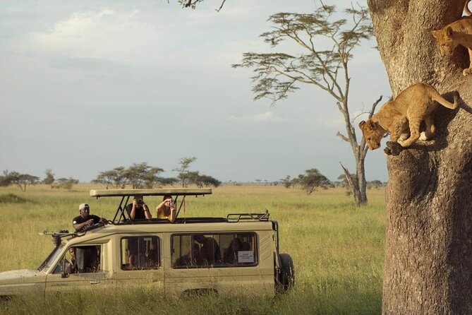 4 Day Great Migration Safari Serengeti & Ngorongoro Crater - Included Amenities