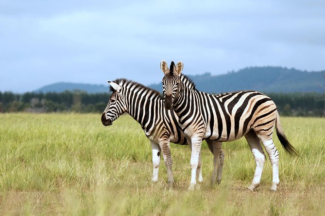 4 Days / 3 Nights Lake Manyara, Ngorongoro and Serengeti - Accommodation and Meals