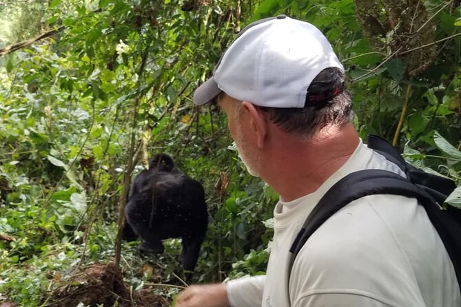 4 Days Gorilla and Chimps Trek Safari - Bwindi Impenetrable Gorillas