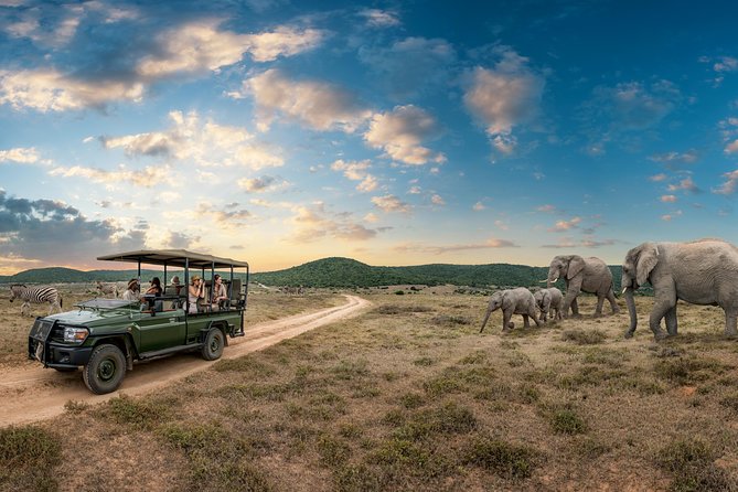 4 Days Kruger Park Big 5 Safari and Awesome Panorama Route - What to Expect