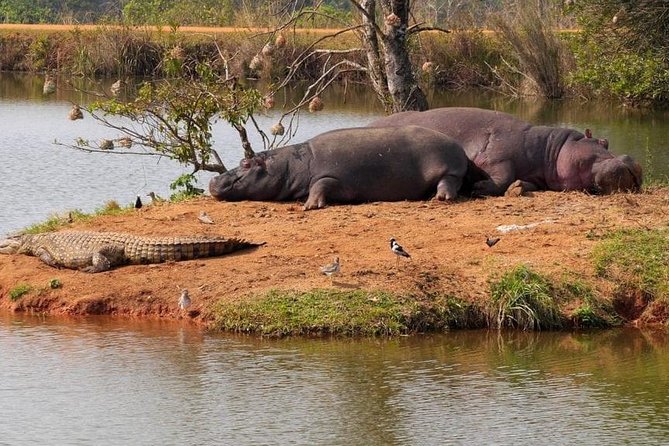 4 Days Luxury Lodge Safari Tour Tanzania - Health and Accessibility Information