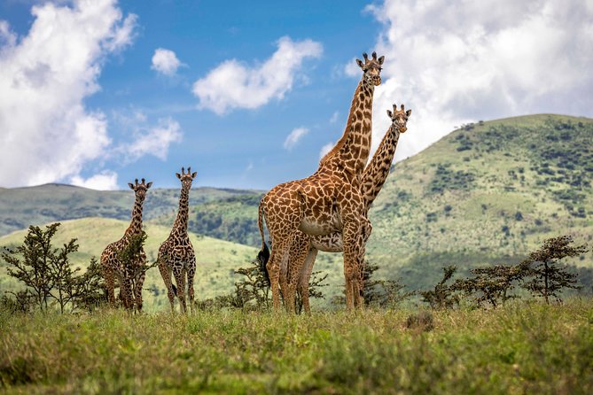 4 Days Safari Tour Tanzania - Serengeti National Park