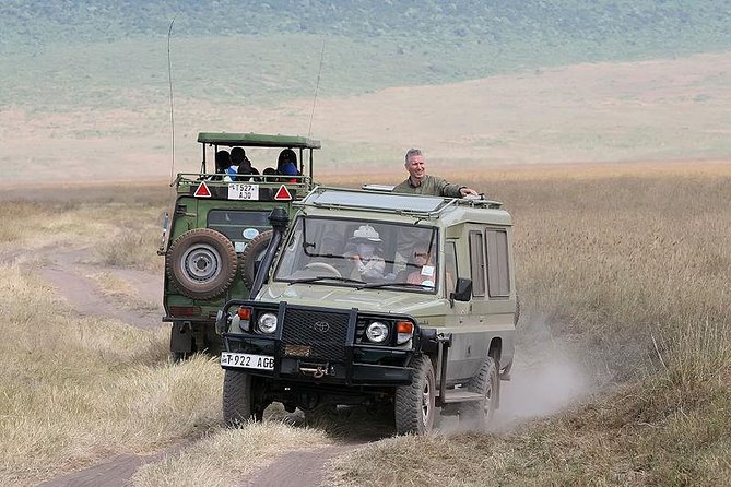 4 Days Tarangire, Serengeti & Ngorongoro Crater Joining Group Safari Tour - Wildlife Encounters in the Parks