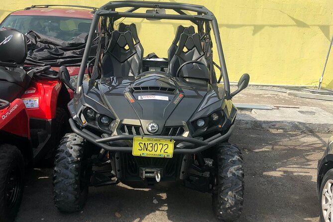 4-Hour Buggy Tour of New Providence (Inclusive of Water & Local Deserts) - Highlights of the Experience