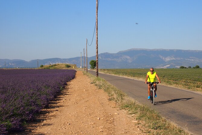 4-Hour Lavender Fields Tour in Valensole From Aix-En-Provence - Whats Included