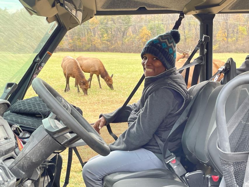 (4 HR) GUIDED Smoky Mountain UTV Eco Elk Adventure - Itinerary