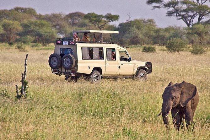 5 Days Safari in Tanzania | Camping and Lodge Safaris - Included Amenities