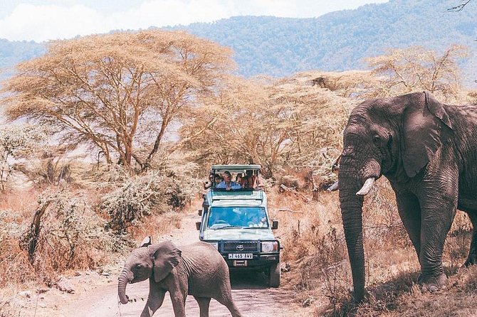 5 Days Serengeti, Ngorongoro, Tarangire & Manyara Lodge Tour - Pickup and Meeting Details