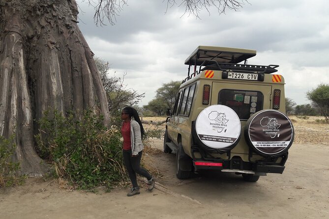 5 Days Tanzania Safari - Migration and Big 5 Safaris - Pickup and Accessibility