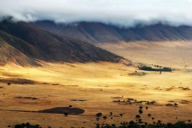 6 Days 5 Nights Lodge Safari Tarangire, Manyara, Serengeti & Ngorongoro Crater - Exclusions