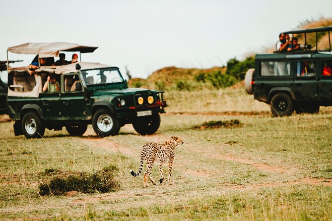 6 Days Safari - Visit; Masai Mara, Lake Nakuru & Amboseli - Exploring Lake Nakuru