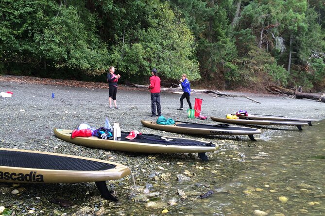 6 Hour SUP Finlayson Arm Fjord - Paddleboard Equipment Provided