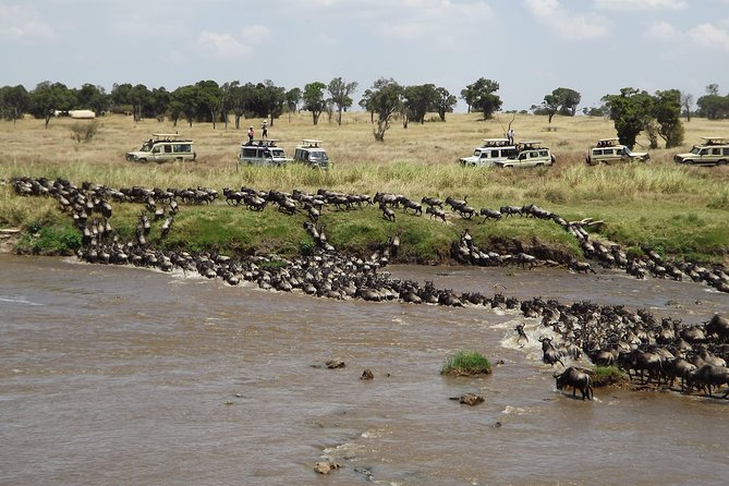 7-Day Great Migration Safari - Meeting and Pickup