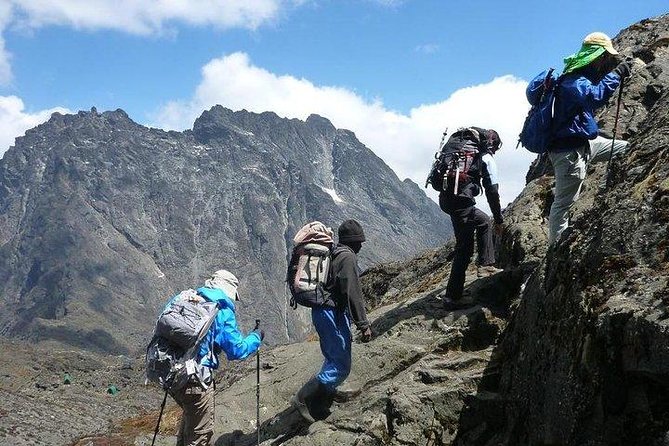 7 Days Rwenzori Summit (Margherita Peak) Hike - Hiking to the Margherita Peak