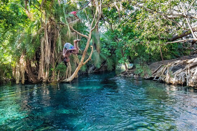 7 Days Safari Tour Tanzania - Accommodation and Meals