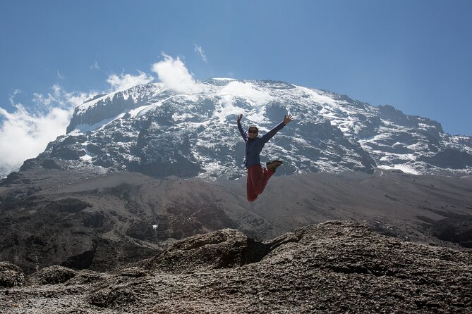 8-Day Small-group Lemosho Kilimanjaro Summit Trekking - Itinerary