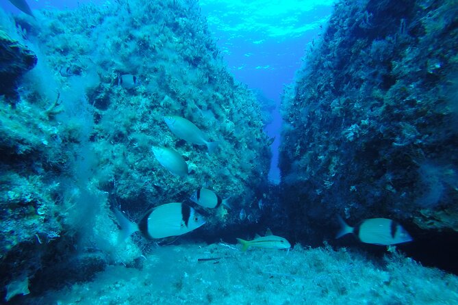 90-Minutes Glass Bottom Trip With Quick Dip - Onboard Facilities