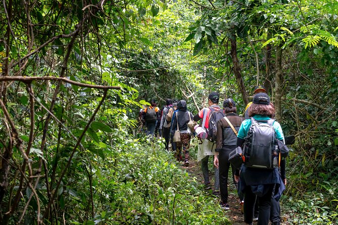 A Day of Relaxation in the Jungle and Waterfalls of Dominica - Additional Details