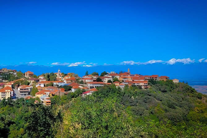 A Day Tour to Kakheti Region/Wine/Culture/History and Gastro Tour - Wine Cellar Experiences