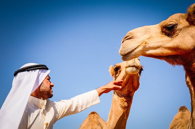 Abu Dhabi: 4-Hour Morning Desert Safari With Camel Ride and Sandboarding - Exclusions