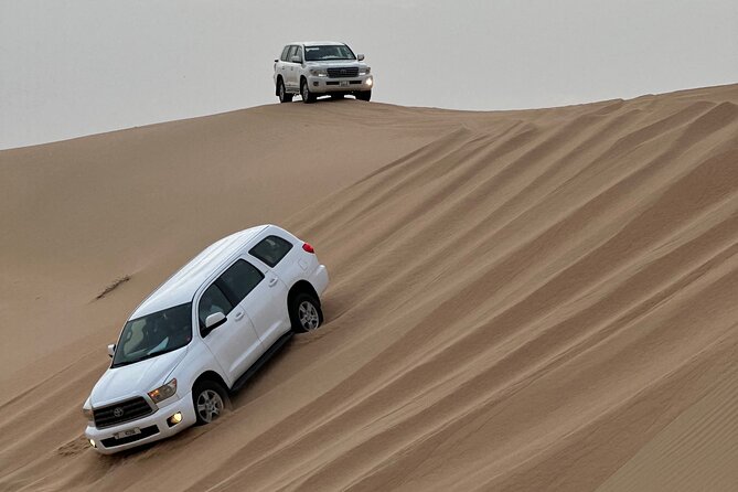 Abu Dhabi Desert Safari With BBQ Dinner & Live Shows - Immersive Cultural Henna Painting