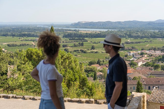 Afternoon Wine Tour to Chateauneuf Du Pape From Avignon - Discover Rhône Valley Wines