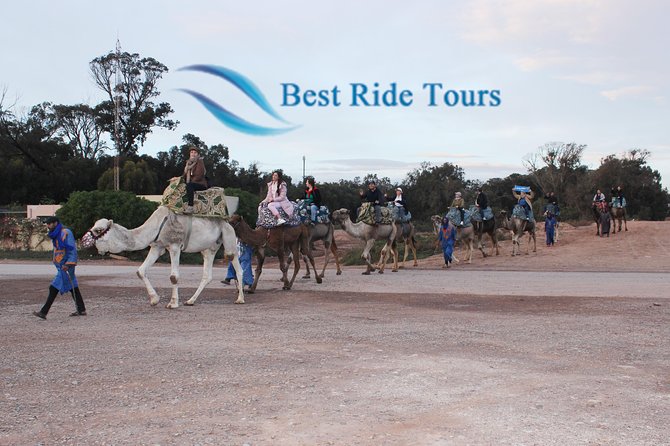 Agadir Camel Riding - Camel and Horse Riding