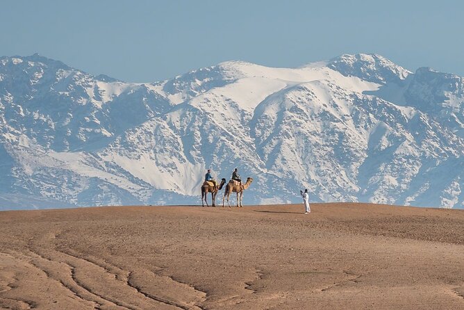 Agafay Camel Ride & Ourika Valley in Atlas Mountains - Inclusions