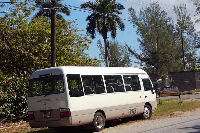 Airport-Negril Hotels Transfers and Returns for 1- 4 Persons - Transportation Details