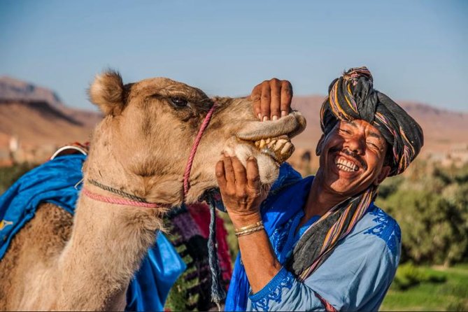 Ait Ben Haddou and Ouarzazate Day Trip - Inclusions and Exclusions