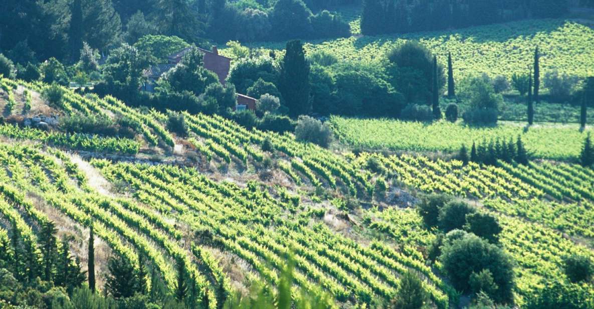 Aix-en-Provence: Half Day Wine Tour in Bandol and Cassis - Highlights of the Tour