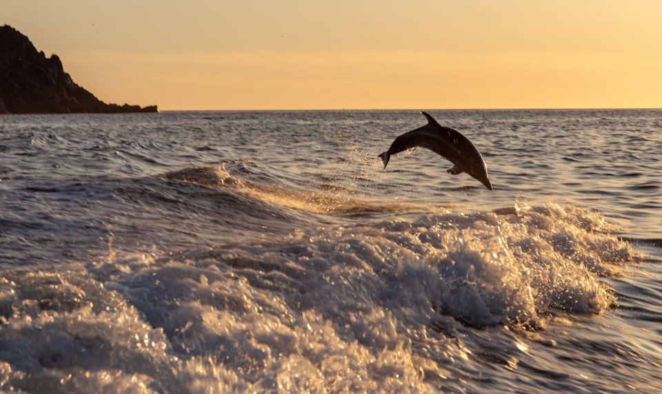 Ajaccio: Sunset Sea Trip to Sanguinaires Islands - Duration and Schedule