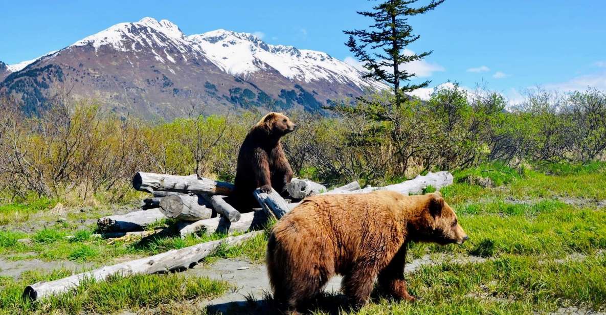 Alaska Wildlife Conservation Center: Admission Ticket - Comprehensive Experience Overview