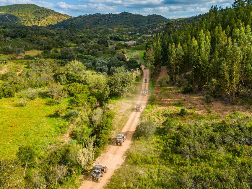 Albufeira: Off-Road Buggy Adventure - Activity Details and Highlights