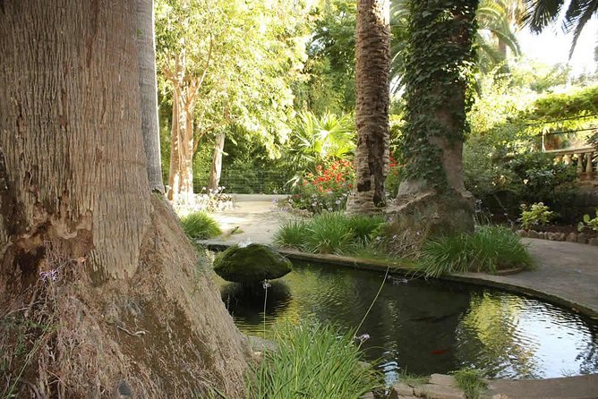 Alfabia Gardens Tickets - Visitor Experience