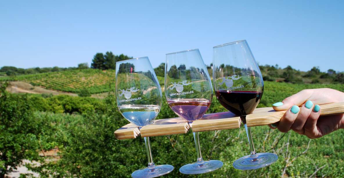 Algarve: 3 Types of Wine Tastings With Vineyard Views - Wine Tasting Experience Highlights