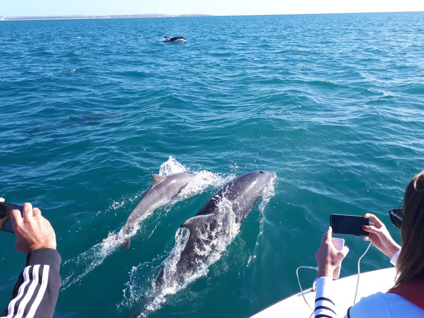 Algarve: Boat Trip to the Caves of Benagil - Tour Highlights